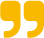 Pixel pals Client